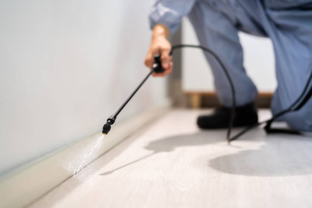 Licensed Termite Control service in Cornelius, NC - Nex Pest Control