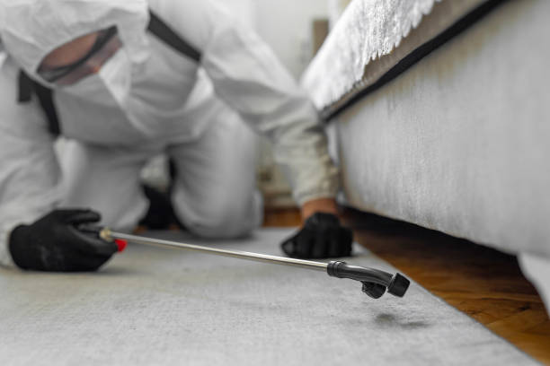 Professional Termite Control technician working in Cornelius, NC