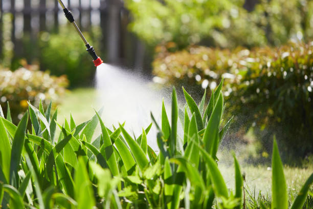 24/7 Emergency Termite Control experts in Cornelius, NC