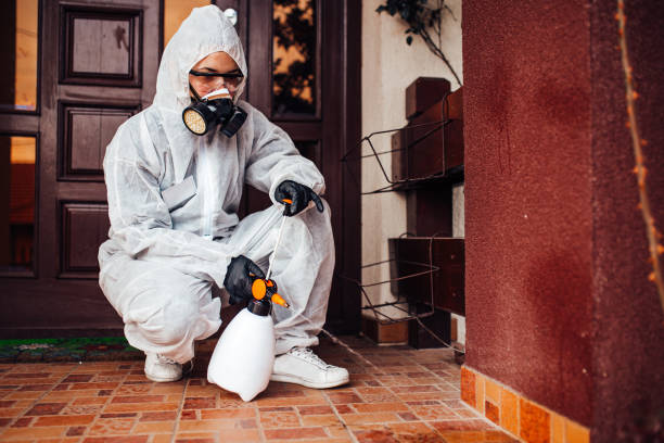 Reliable Termite Control contractor in Cornelius, NC by Nex Pest Control